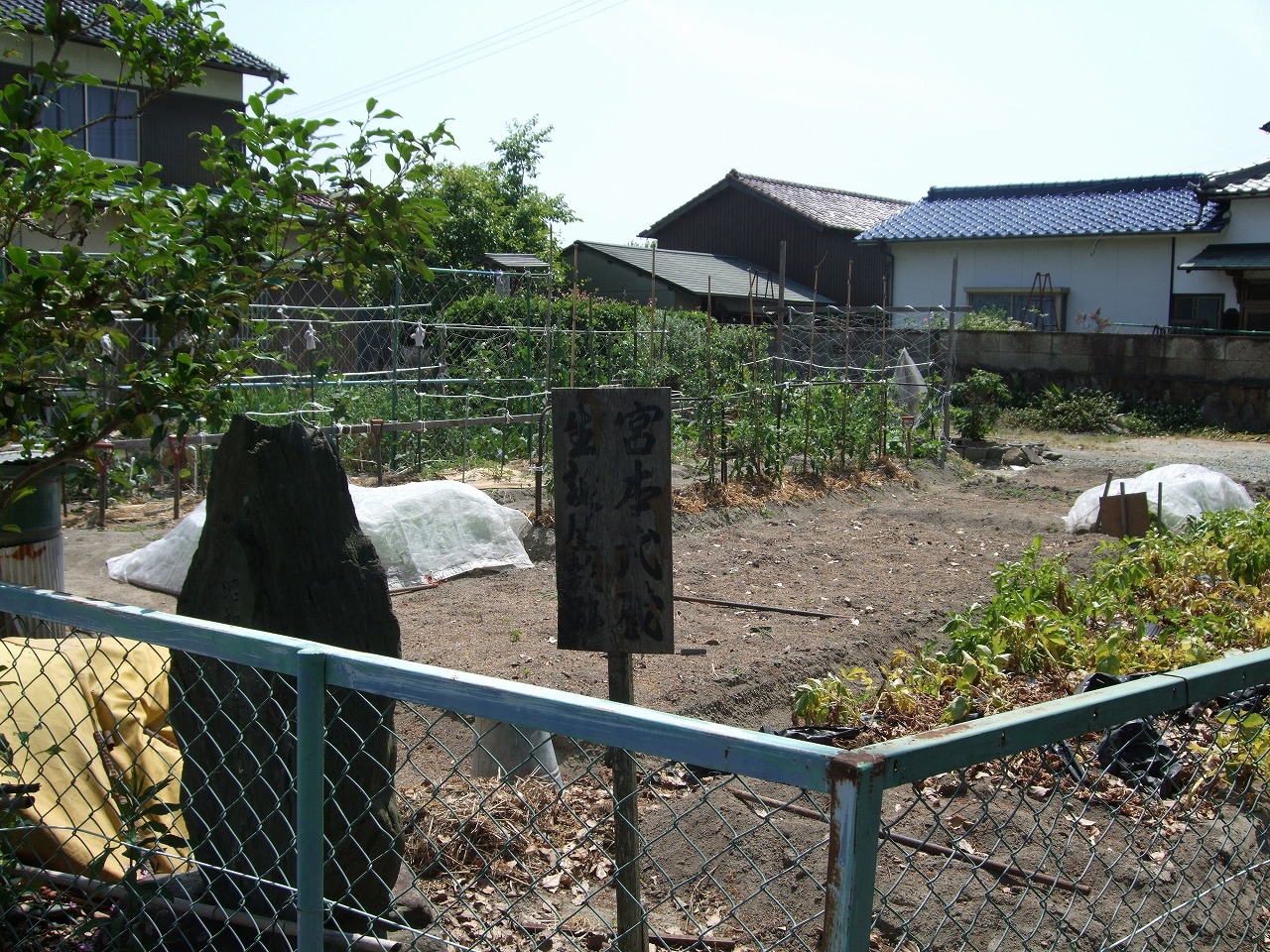 宮本武蔵を見ていた椋 紀行歴史遊学