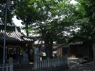 S-DSCF2608 S-DSCF2608