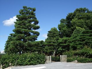 S-DSCF2943 S-DSCF2943