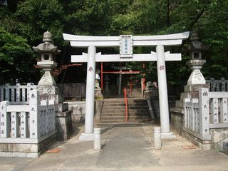 DSCF3448 DSCF3448