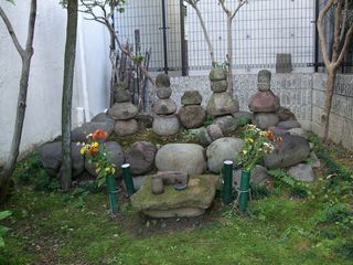DSCF5977
