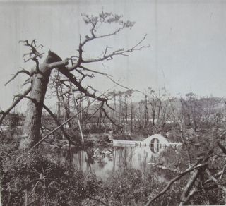 原爆直後の縮景園