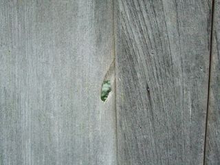 DSCF7826 DSCF7826