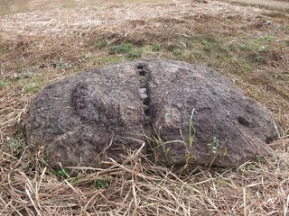 金色に輝く七重塔 紀行歴史遊学