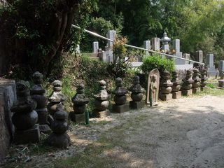 DSCF8969