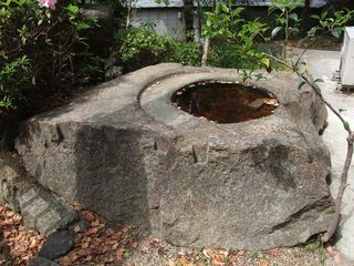 東大寺大仏のモデル 紀行歴史遊学