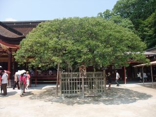 DSCF9928 DSCF9928