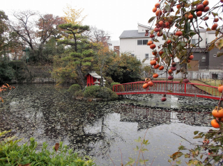 ⑪血刀濯ぎの池