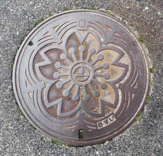 DSCF6739