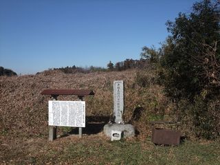 DSCF1117