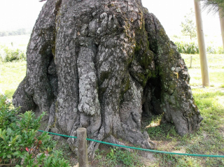 DSCF4743