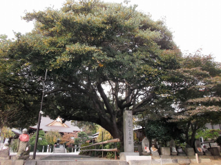 義元公本陣跡