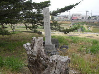 ②岩根桜 ②岩根桜