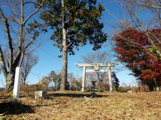 DSCF0382