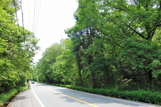 DSC02504 DSC02504
