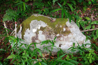 DSC02504 DSC02504
