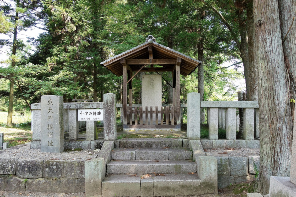 桜に託したメッセージ - 紀行歴史遊学