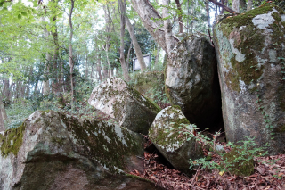 努力を重ねた天邪鬼の悲劇 紀行歴史遊学