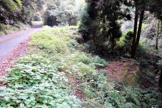 DSC00415