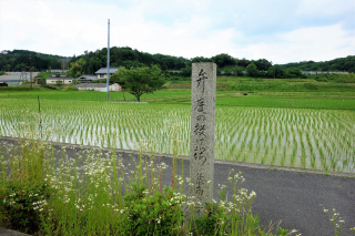 DSC02536 DSC02536