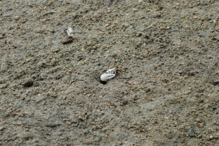 DSC03621