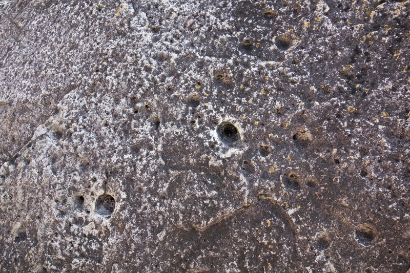 DSC05689