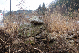 DSC07456 DSC07456