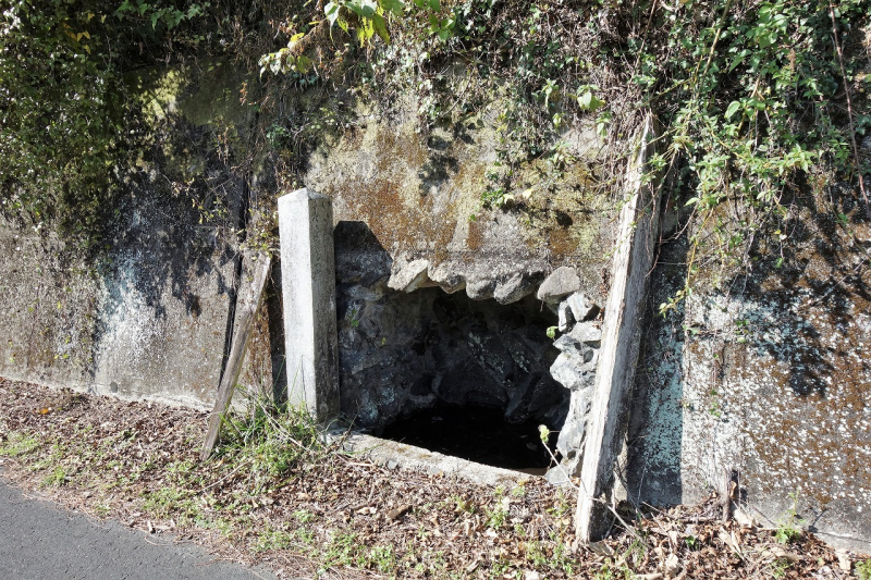DSC00801