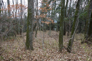 DSC06717