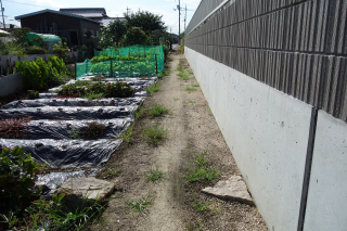 07茶屋町境界石②