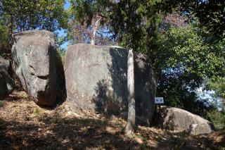 DSC01738