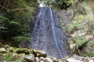 DSC01795