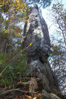DSC01830