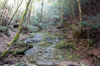 DSC01941官兵衛ロケ地