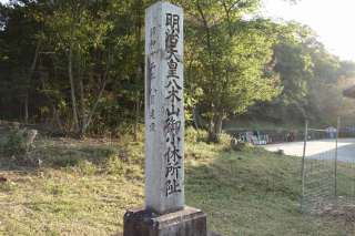 DSC01979