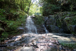 DSC01331