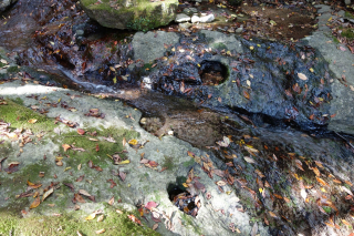 DSC01800
