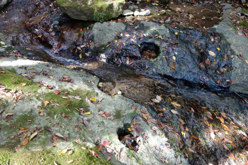 DSC01800