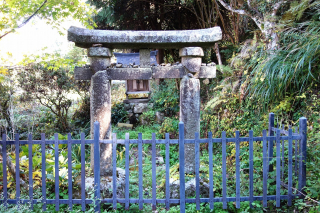 DSC02007