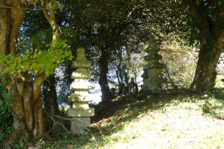 DSC02079