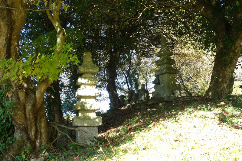 DSC02079