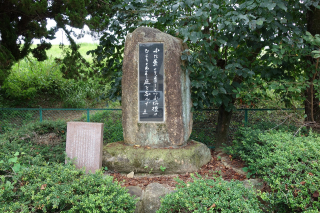 DSC01387