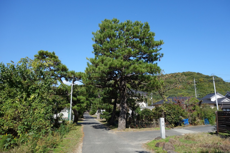 DSC01691