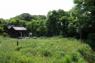 DSC03288
