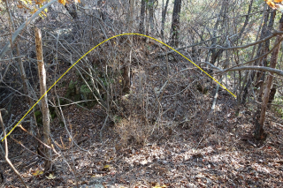 DSC02098